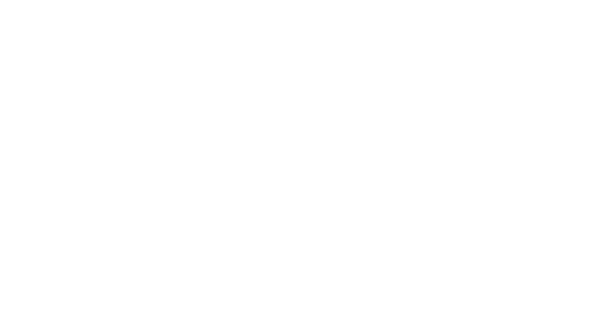 DIU Logo